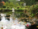 Obnovený rybník